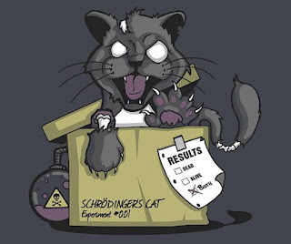 O que é o Gato de Schrödinger?